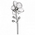 Waterford Crystal Fleurology Jeff Leatham Orchid Flower
